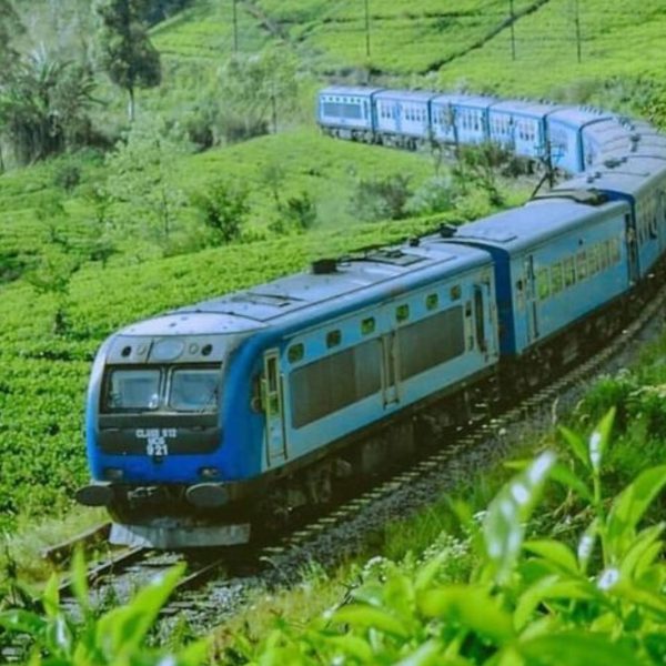 Experience Sri Lanka in 4 Days – A Short Escape with Big Wonders